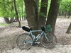 Surly Cross Check photo