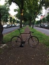 Surly Cross Check - 62cm photo