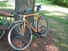 Surly Cross Check photo