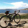 Surly Cross-Check photo