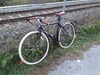 Surly Cross-Check photo