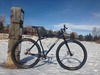 Surly Karate Monkey 20" (SOLD) photo