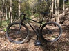 2011 Surly Karate Monkey Dingle speed photo