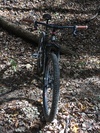 2011 Surly Karate Monkey Dingle speed photo