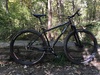 2011 Surly Karate Monkey Dingle speed photo