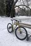 Surly Krampus 2022 photo