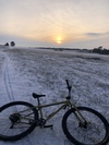 Surly Krampus 2022 photo