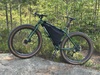 Surly Krampus photo