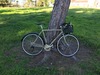 Surly Long haul trucker photo