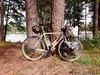 Surly Long Haul Trucker photo