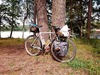 Surly Long Haul Trucker photo