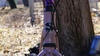 Surly midnight special photo