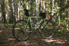 Surly Minty Explorer photo