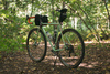 Surly Minty Explorer photo