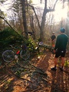 Surly Pacer Rando photo