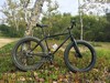 Surly Pugsley photo