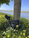Surly Steamroller photo