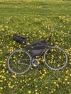 Surly Steamroller photo