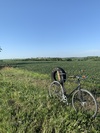 Surly Steamroller photo Surly Steamroller photo