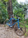Surly Steamroller photo Surly Steamroller photo