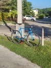 Surly Steamroller photo Surly Steamroller photo