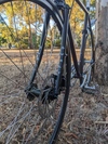 Surly Steamtrucker photo