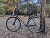 Surly Steamtrucker photo