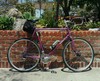 Surly Straggler photo