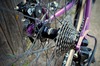 Surly Straggler photo