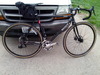 Surly straggler photo