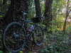 Surly Straggler 650b photo