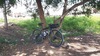 Surly Straggler 650B photo