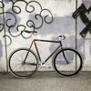 Colossi Steel Frame photo