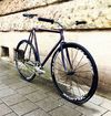 Colossi Steel Frame photo