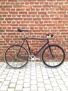 Colossi Steel Frame photo