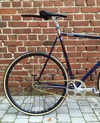 Colossi Steel Frame photo