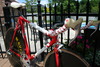 Canadian Olympic Steve Bauer Funny Bike photo