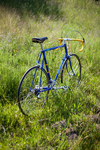 TECHNOBULL 1980s Road Bike photo