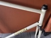 Tempesta pista (for sale) photo