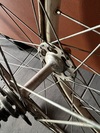 Tempesta pista (for sale) photo