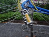 Tesch 101 photo