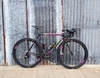 The Holy Grail: Colnago C40 photo