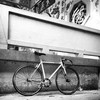 Lily (Bianchi Pista via Brera) photo