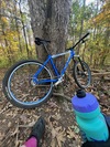 The Mountain Bike [Dismantled/Sold] photo