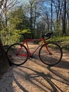 The Orange Bike photo