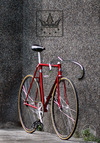 Bridgestone NJS photo