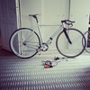 the silver carbon track photo