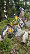 2014 Trek Stache 7 photo