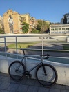 Waltly titanium track photo