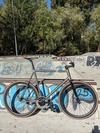 Waltly titanium track photo